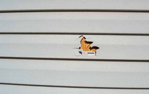 Siding Hole Patching in Elk River