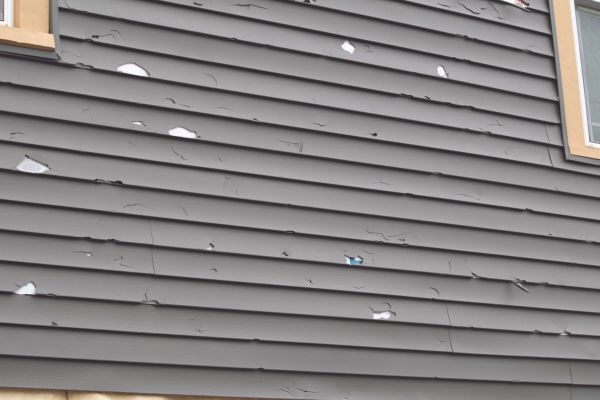 Damaged Siding Replacement in Elk River